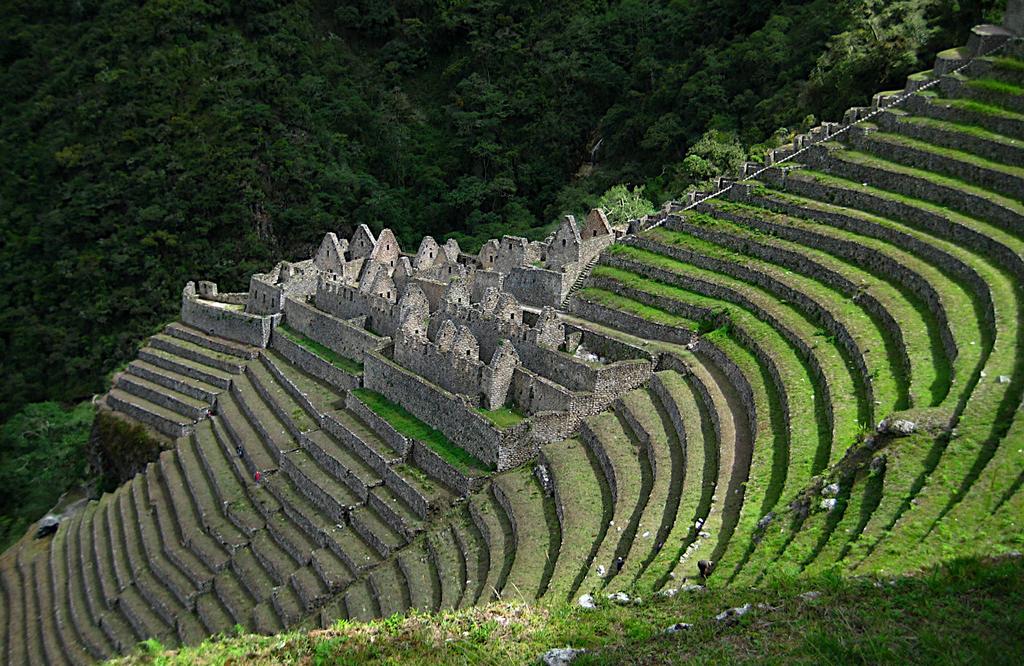Dag 13: Inkaleden och Machu Picchu Dagen börjar med en tidig en timmars vandring till Intipu ku-solporten.