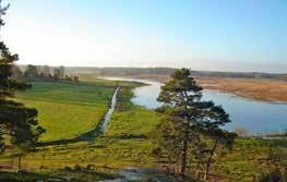 Gammal skog i Tärnanområdet Stora öppna kulturlandskap finns främst runt de gamla gårdarna som Stora Säby, Prästgården och Lingsberg.