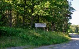 Att vandra i de ljusa ädellövskogarna med sin matta av lundblomster en försommarkväll är speciellt. På Bogesundslandet finns Lindskogen som är ett före detta domänreservat.