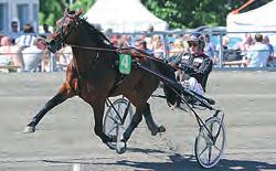 Startprissmumma: 2 338 346 kr Kusk: Johnny Takter Tränare: Petri Salmela 3)