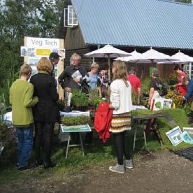 Aktivera östra kanten som har kvällssol antingen genom att öppna upp stadshusets bottenvåning eller med små cafépaviljonger som stödjer