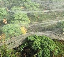 Väven kväver effektivt ogräset, men tillåter ändå att vattnet dräneras. Perfekt att använda i plantskolor, vid frilandsodling för plantmottagning osv.