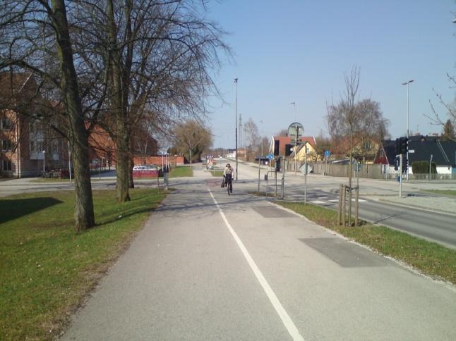 Gatan följs av en allé, där man har nyplanterade träd samt befintliga äldre träd. Grönskan är utmärkande för området. Grönskan är tydligt inplanerad mellan lamellhusen.