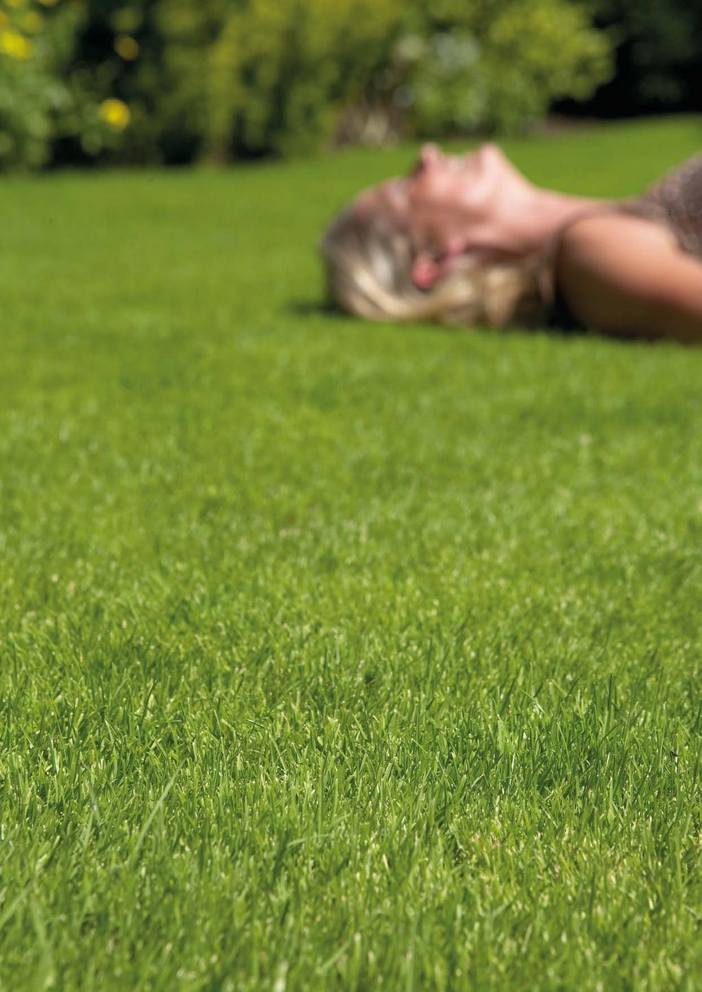 Blekingeplantan Trädgårdsexperten Vi hjälper dig.