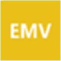 Om denna status pågår en längre tid kan EMV-servern