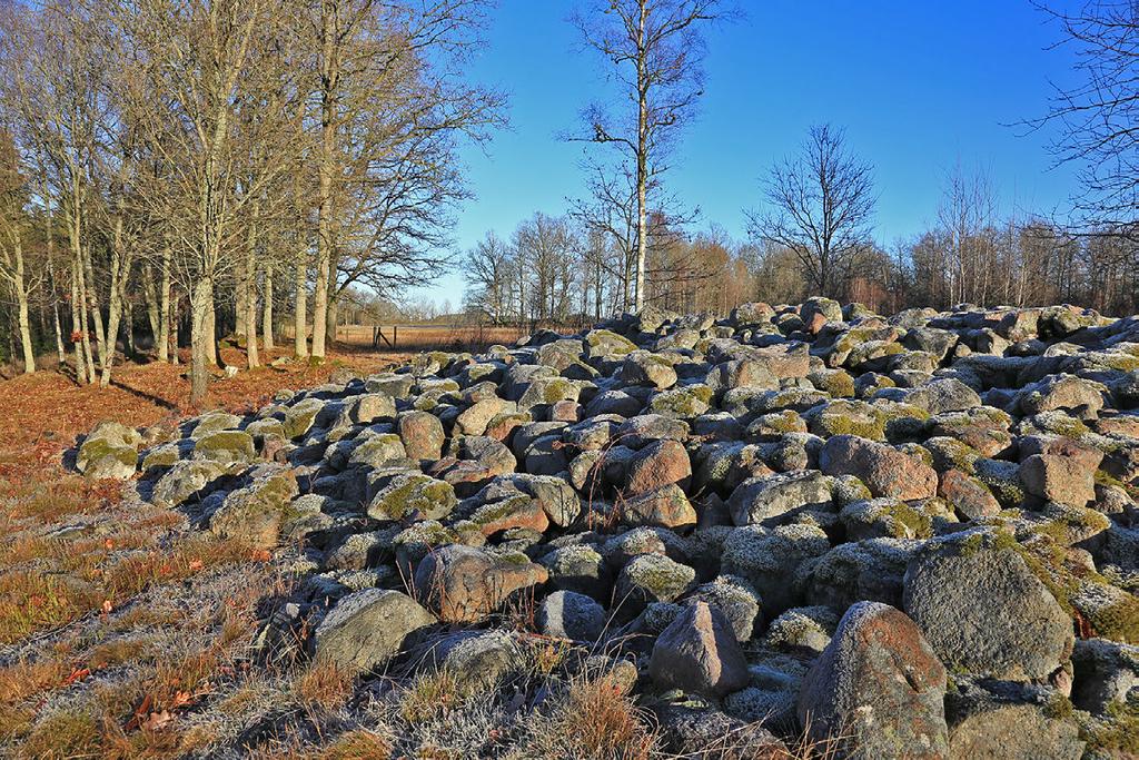 Figur 8. Det 18 meter stora gravröset Aringsås 48:1, beläget i sydvästra delen av inägorna vid Spåningslanda. Denna miljö, som innehåller flera gravar, sköts efter restaurering genom fornvård.