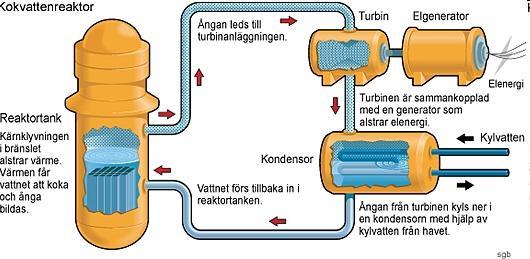 Kärnkraften i Sverige Ca 50 % av elproduktionen i Sverige Tre
