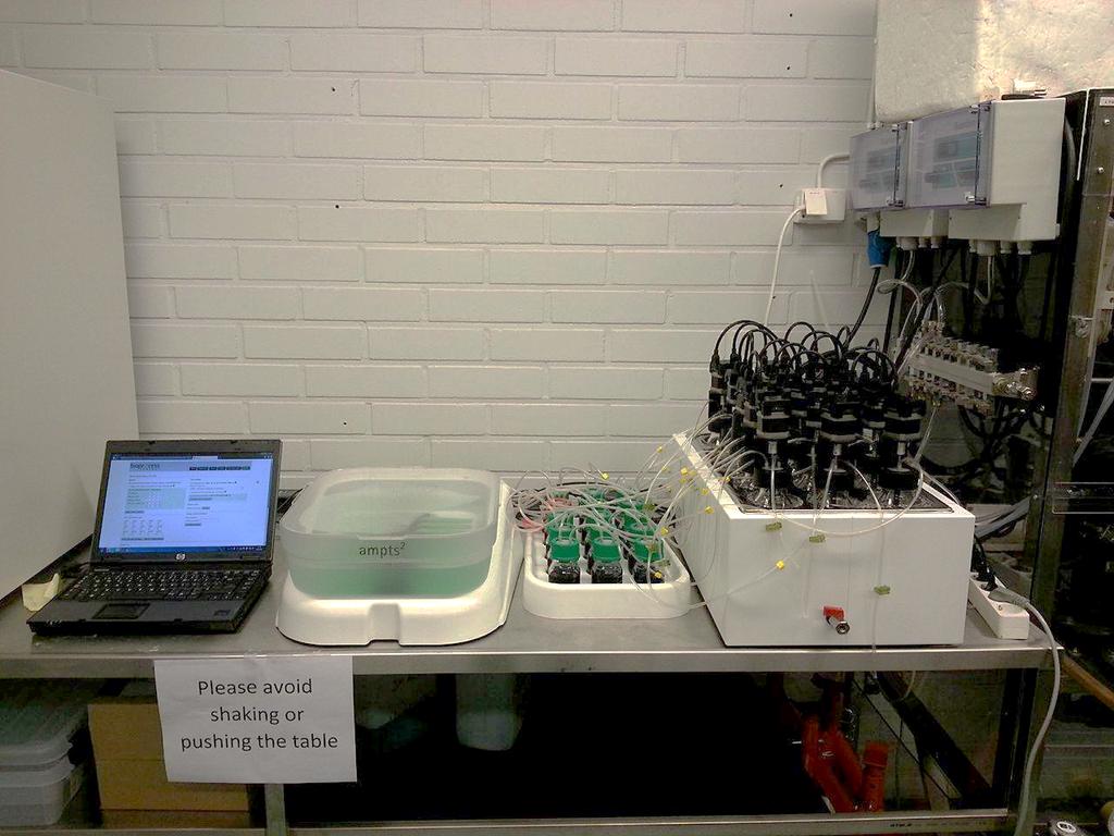 BMP-test