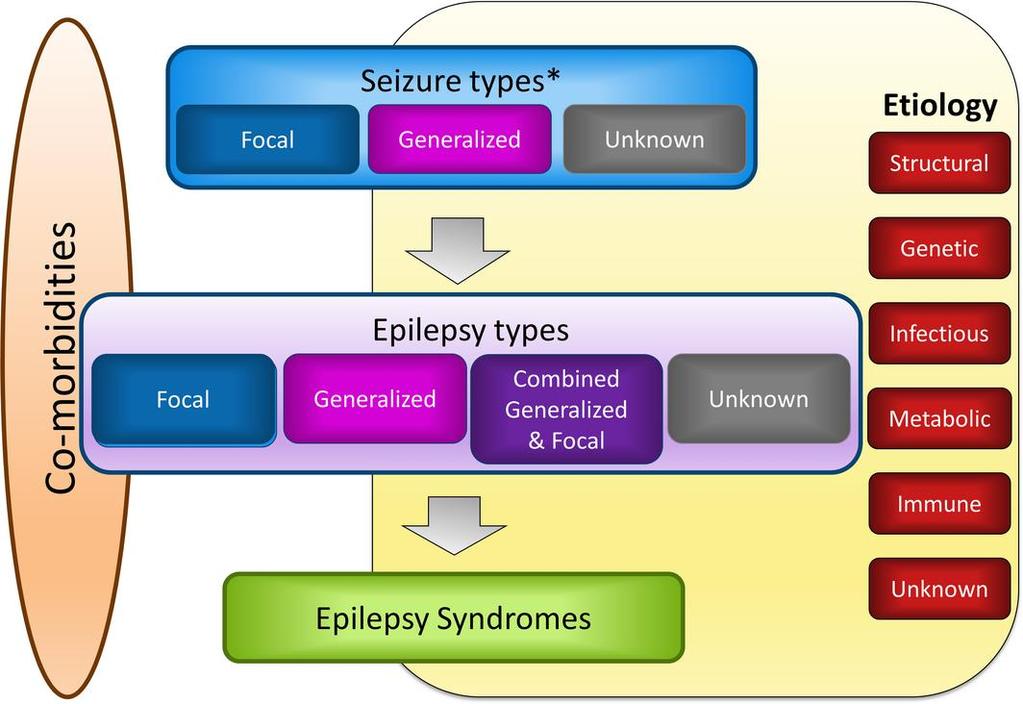 ILAE classification of the epilepsies: Position paper of the ILAE Commission for Classification and Terminology