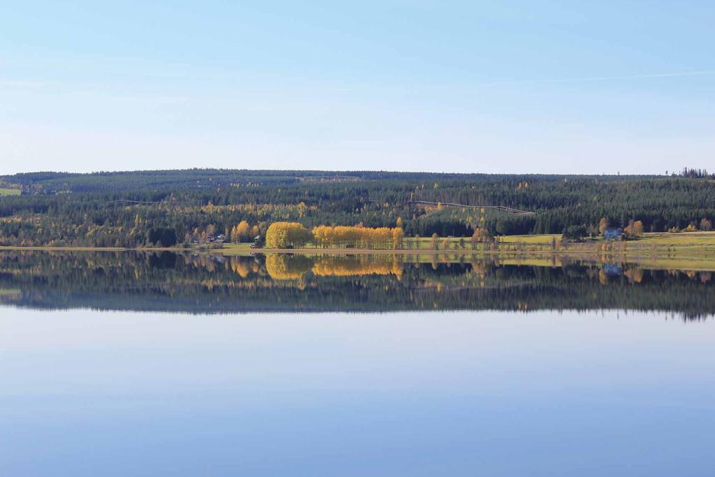 Fisket i Berg - alltid något som passar 1 Våra fiskevårdsområden 1 Statens vatten inom renbetesfjällen 2 Ljungdalens fvof 3 Storsjö fvof 4 Gruckarnas fvf 5 Tossåsen kfo 6 Börtnans fvof 7 Skålans fvof