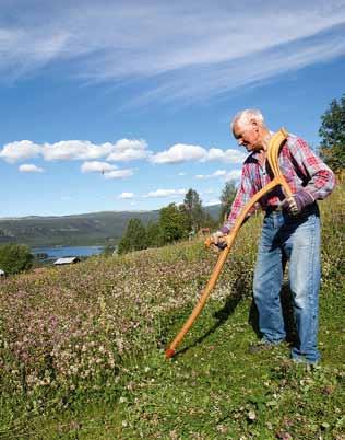 Destination Storsjön forts. Strömbacka kvarn i Hackås är en av landets bäst bevarade. Den byggdes 1872 och var i drift fram till 1973. Nu bedrivs sommarservering i den gamla kvarnmiljön.