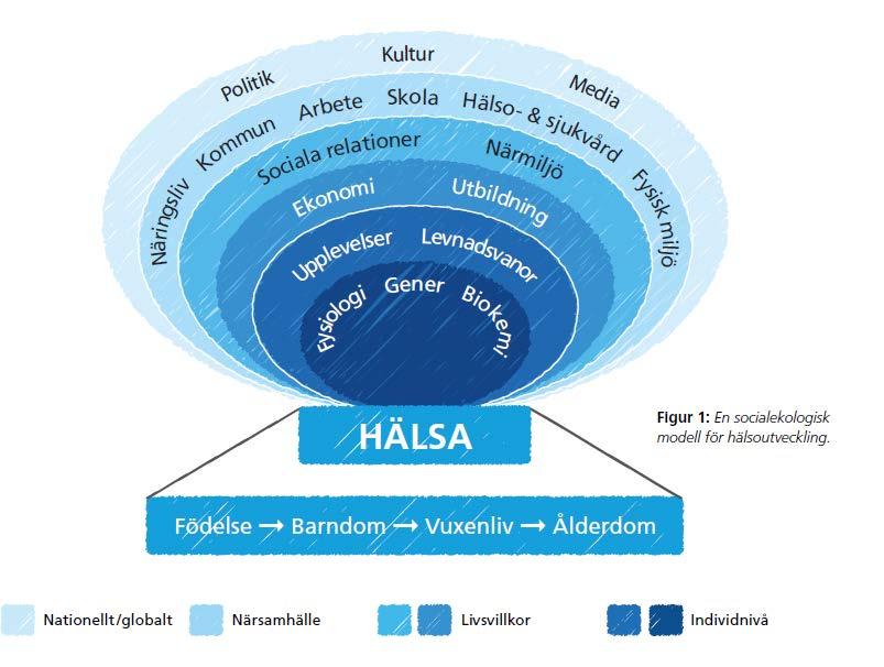 Figur 1. En socialekologisk modell över hälsans bestämningsfaktorer ur ett livscykelperspektiv.