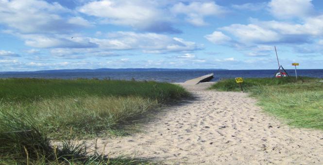 Sommarkollo på Glimminge Plantering! Vackert väder, blå himmel, möjlighet till fiske och att umgås med andra ungdomar.