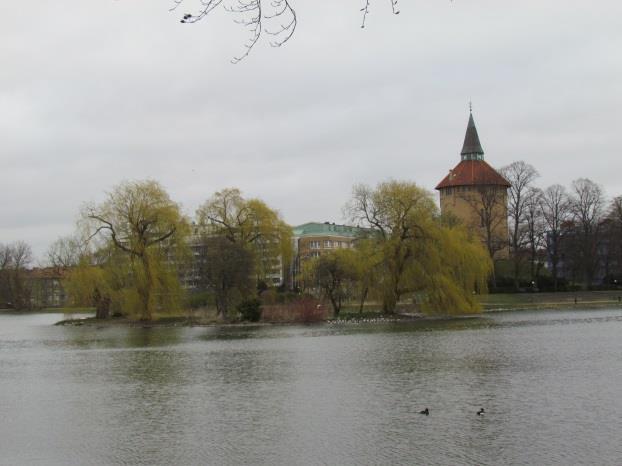 Pildammsparken 2015 Foto: Malmö stad / Bo Lindvall Genom träledningar ledde man vattnet från dammen ner till en offentlig brunn på Stortorget.