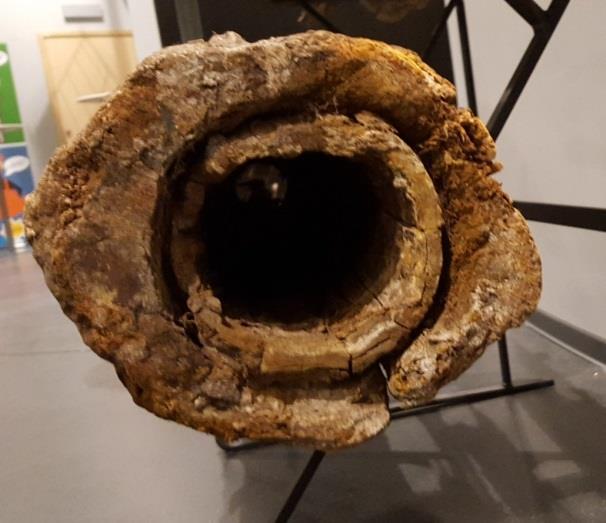 finns att se på Kretseum