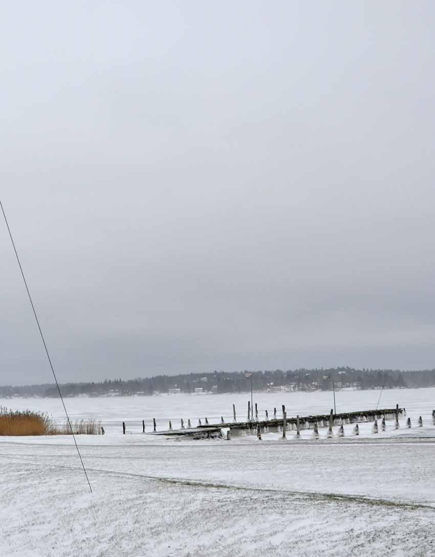 BELYSNING TEMA TAR MAKTEN ÖVER DEN EGNA BELYSNINGEN Stellan Sandström konstaterar att investeringen i nya stolpar innebär ett kvalitetslyft.