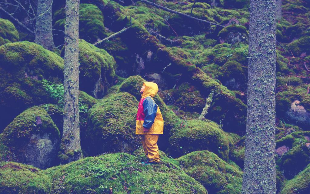 KÄRNVÄRDEN Kärnvärdena är våra ledord i varumärket. Se dem som en kompass som pekar ut riktningen när du inte riktigt vet hur du ska agera.