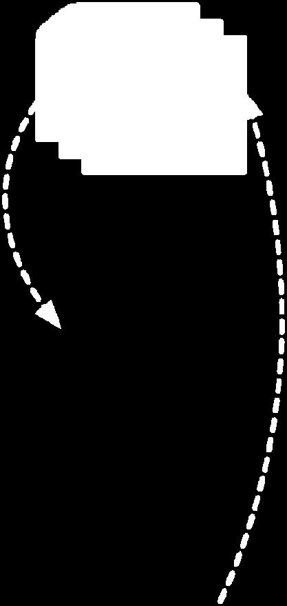 running config show