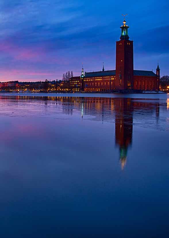 MEDLEMMAR Medlemmar är de aktörer som verkar i City och har en viktig roll i