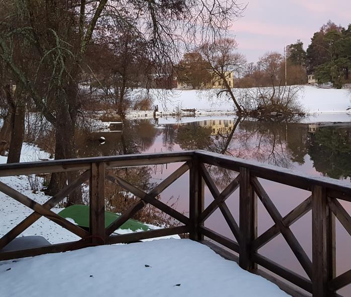 Avgränsning Fokus på familjehemsvård inte behandla