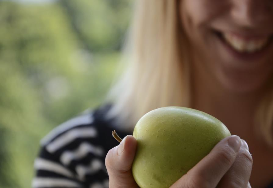 Samråda och inhämta erfarenheter Samråda med myndigheter, kommuner,