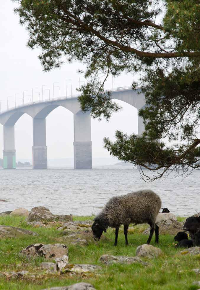 Resultatredovisning Transportsystemets