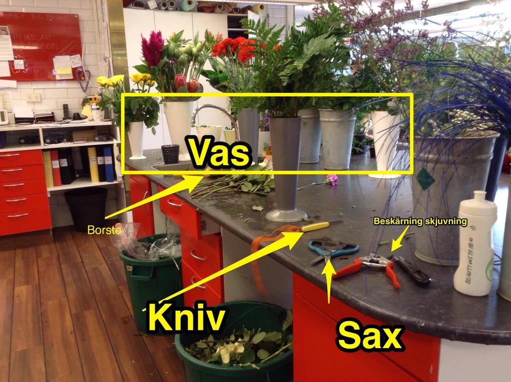 SPRAO kunskapscentrum i Visby Praktikläxa 1 - presentera din arbetsplats ( Sandwall/Nyborgs presentation på NC Symposium 2015 (bearbetad av Franker 2017) Du har nu börjat din praktik.