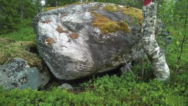 Skogens upplevelsevärden Orördhet och mystik En skog som ger upplevelsen av att vara först på platsen, som är tyst,