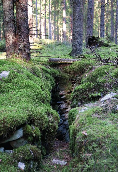 20 Det finns gott om lämningar från forna tiders liv i skogarna.