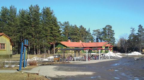 Vilka som besöker skogen beror alltså inte enbart på hur det enskilda skogsområdet ser ut, utan också på vad som omger den.