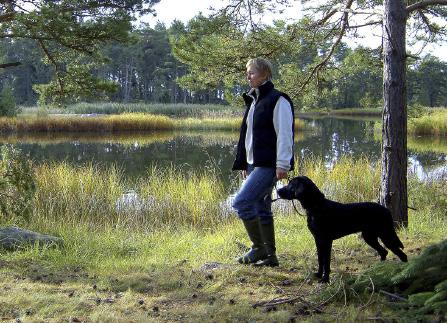 friluftsliv och rekreation Målbilder för god miljöhänsyn vid skogsbruksåtgärder framtagna i samverkan med skogssektorn inom projektet Dialog om miljöhänsyn.