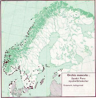Figur 93. Utbredning av Sankt Pers nycklar i Norden jämte delar av Baltikum (Hultén 1971). Figur 94. Utbredning av Sankt Pers nycklar i Skåne t o m 1973 (Weimarck 1985).