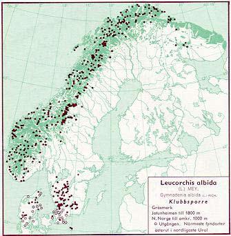 Figur 1. Utbredning av vitynxe/fjällyxne i Norden jämte delar av Baltikum (Hultén 1971) Figur 2. Utbredning av vityxne i Skåne t.o.m. 1973 (Weimarck, 1985).