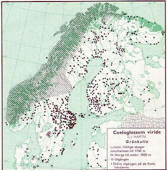 Figur 3. Utbredning av grönkulla i Norden jämte delar av Baltikum (Hultén, 1971). Figur 4 Utbredning av grönkulla i Skåne t.o.m. 1973 (Weimarck, 1985).