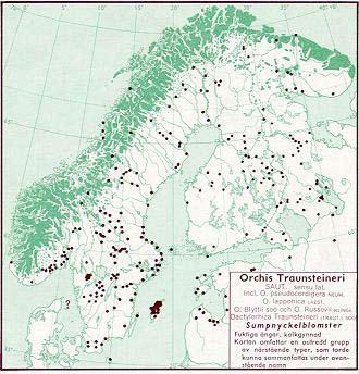 belägg samlade på 1800-talet. Eftersök på två av dessa lokaler, Kurremölla och Röddingedalen, var resultatlösa 2006 2007. En rapport föreligger 1995 från Projekt Skånes Flora.
