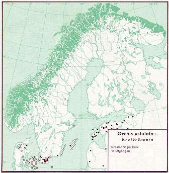 Figur 18 Utbredning av krutbrännare i Norden jämte delar av Baltikum (Hultén 1971) Figur 19. Utbredning av krutbrännare i Skåne t o m 1973 (Weimarck 1985).
