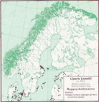 är ingenstans allmän. I Rödlistade arter i Sverige 2005 är den klassad som Hänsynskrävande, NT (Gärdenfors 2005).