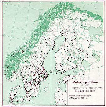 Figur 34. Utbredning av myggblomster i Norden jämte delar av Baltikum (Hultén 1971). Figur 35. Utbredning av myggblomster i Skåne t o m 1973 (Weimarck 1985).