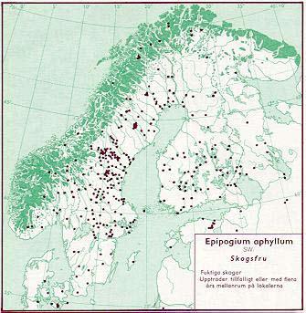 Figur 52. Utbredning av skogsfru i Norden jämte delar av Baltikum (Hultén 1971). Figur 53. Utbredning i Skåne av skogsfru t o m 1973 (Weimarck 1985).