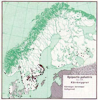 Utbredning Kärrknipprot finns i Sverige i kalktrakter från Skåne till Jämtland och är vanligast i Skåne och på Öland och Gotland.