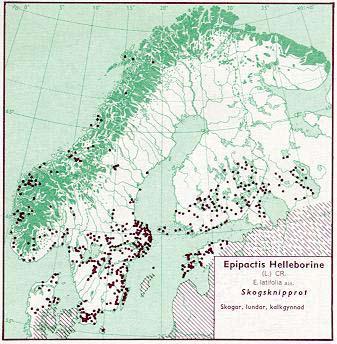 Figur 58. Utbredning av skogsknipprot i Norden jämte delar av Baltikum (Hultén 1971) Figur 59.
