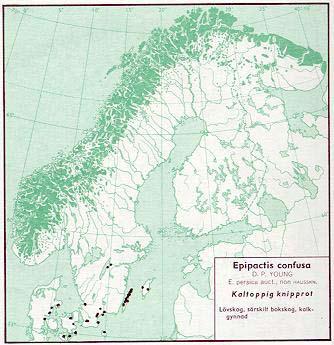 Figur 61. Utbredning av kal knipprot i Norden jämte delar av Baltikum (Hultén 1971). Figur 62. Utbredning av kal knipprot i Skåne t o m 1973 (Weimarck 1985).