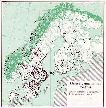 Figur 67. Utbredning av tvåblad i Norden jämte delar av Baltikum (Hultén 1971). Figur 68.