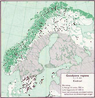 Figur 73. Utbredning av knärot i Norden jämte delar av Baltikum (Hultén 1971). Figur 74. Utbredning av knärot i Skäne t o m 1973 (Weimarck 1985).
