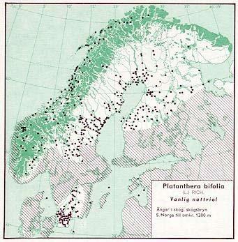 Figur 76. Utbredning av nattviol i Norden jämte delar av Baltikum (Hultén 1971). Figur 77. Utbredning i Skåne av nattviol fram till 1973 (Weimarck 1985).