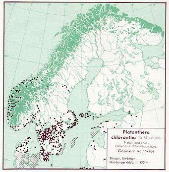 Figur 79. Utbredning av grönvit nattviol i Norden jämte delar av Baltikum (Hultén 1971). Figur 80.