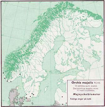 Figur 85. Utbredning av majnycklar i Norden jämte delar av Baltikum (Hultén 1971). Figur 86. Utbredning av majnycklar i Skåne t o m 1973 (Weimarck 1985).
