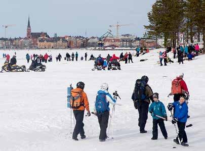 skridskobana och