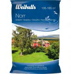 Gräs 838835 7DLCNGS*diidfj+ 838838 7DLCNGS*diidia+ 147102 7DLCNGL*ehbach+ Norr Exklusiv blandning som ger en tätvuxen och vackert grön gräsmatta.