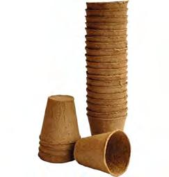700174 7DLCNGR*aabheh+ Rötterna växer lätt igenom krukan.